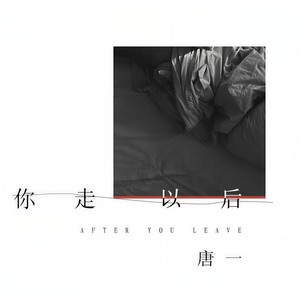你走以后 - 唐一封面