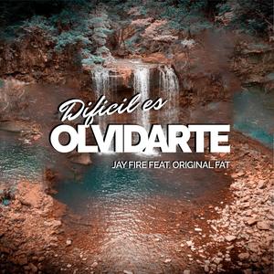 Dificil es Olvidarte(feat. Original Fat)