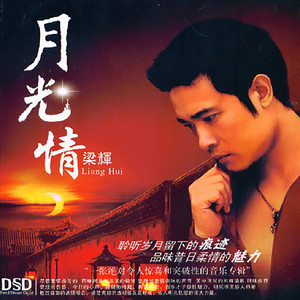 梁辉 - 月朦胧鸟朦胧