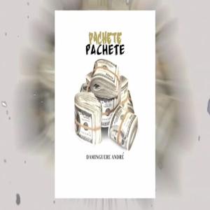 Pachete (Explicit)
