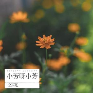小芳呀小芳