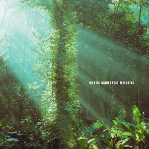 Mystic Rainforest Melodies