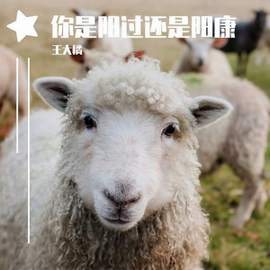 你是阳过还是阳康 (和声伴奏)