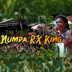 Numpa RX King