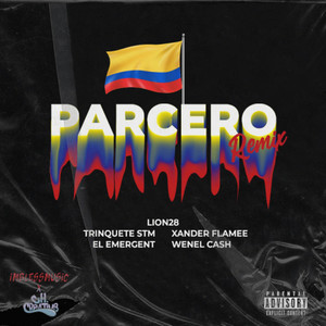 Parcero (Remix)