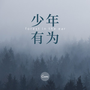 少年有为 (Remix)