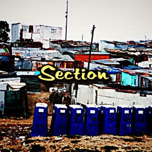 Section (feat. D-Nice The OG) [Explicit]