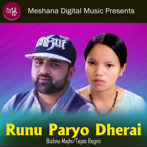 Runu Paryo Dherai