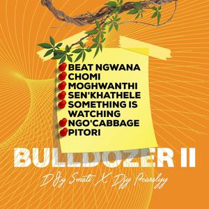 Ngo Cabbage (feat. Ntokiey rsa & Dj Zana SA)