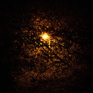Schatten