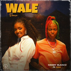 Wale (Remix) [feat. Simi]