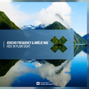 Hide In Plain Sight (Extended Mix)