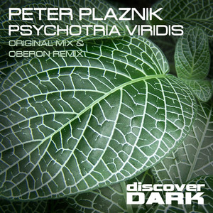 Psychotria Viridis (Original Mix)