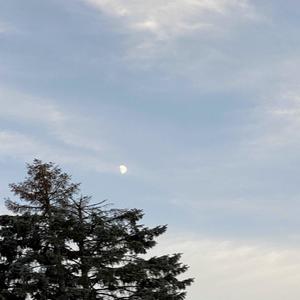 The Only One (Inst.)