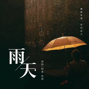 “谁能体谅，我的雨天”