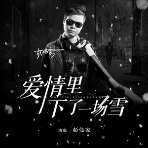爱情里下了一场雪 (DJ版)