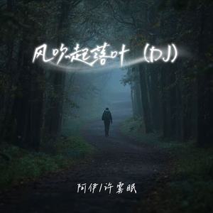风吹起落叶 (DJ版)