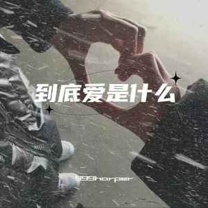 到底爱是什么