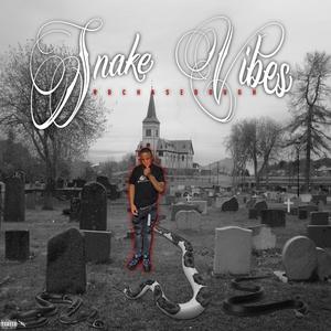 Snake Vibes(feat. Baby Bleep, Top 5ivee, Joey G & Projeckbabytwin) (Explicit)