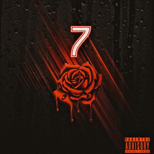 7 Roses