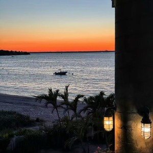 玲子4.0（带走我现在的念想）