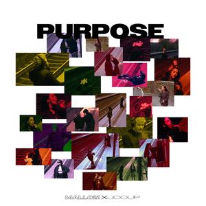 purpose (Explicit)