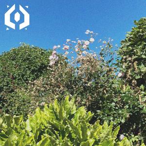 DARCDOT - Stay Alive