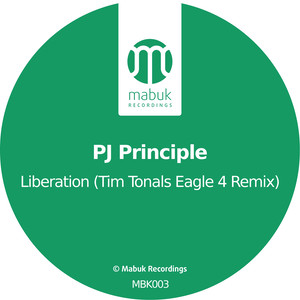 Liberation (Tim Tonals Eagle 4 Remix)