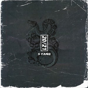 20/21