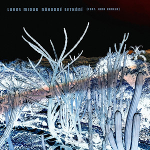 Náhodné setkání