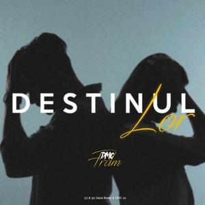 Destinul lor (feat. FRDM)