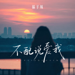 不配说爱我