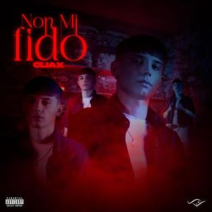 Non Mi Fido (Explicit)