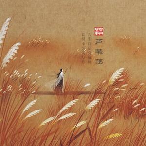 芦苇荡 (二胡版)