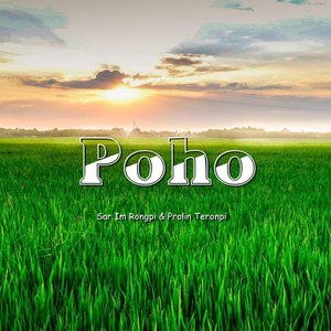 Poho (Coverversion)