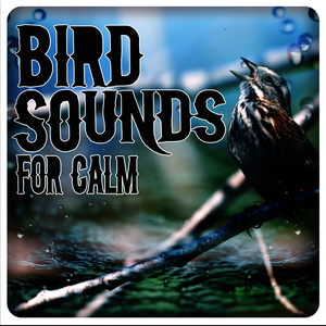 Bird Sounds for Calm