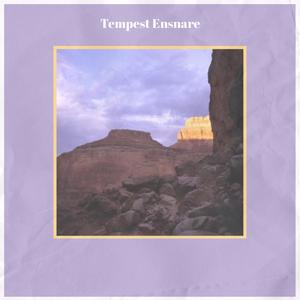 Tempest Ensnare