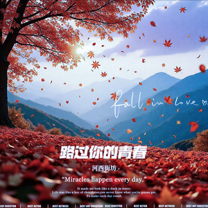路过你的青春