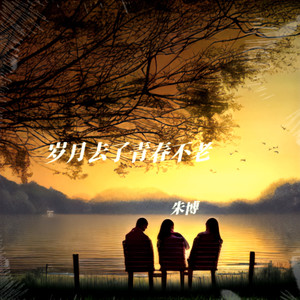 岁月去了青春不老 (伴奏)