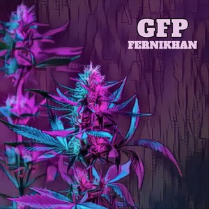 GFP (Explicit)