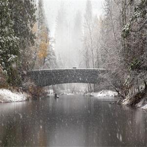 这里是我的避难所