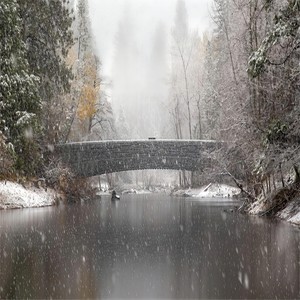 这里是我的避难所