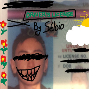 Driver's License