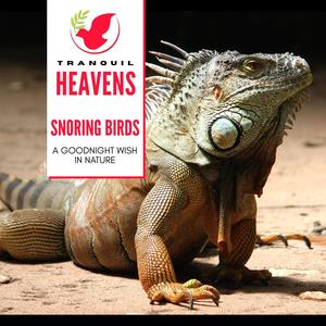 Snoring Birds- A Goodnight Wish in Nature