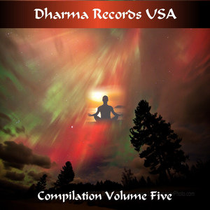 Dharma Records Usa Compilation, Volume 5