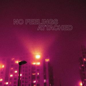 No Feelings Attached. (Explicit)