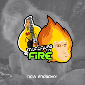 Macaques on Fire