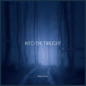 Into the Twilight