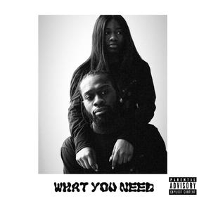What You Need (Explicit)