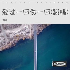 爱过一回伤一回